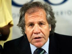 LUIS-ALMAGRO-PORTADA