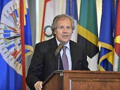 OEA-ALMAGRO-01-300x200rffrfff