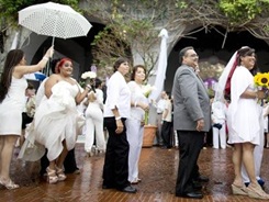bodas