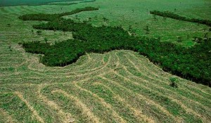 Brazil.-Mato-Grosso-do-Norte.-Deforestation-in-Amazonia-660x350