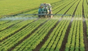 6431985-tractor-fumigacion-de-un-campo-de-cultivo
