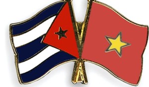 Banderas-Viet-Nam-Cuba