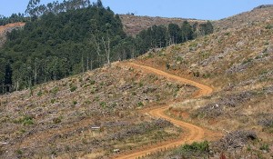 File_2011322141230