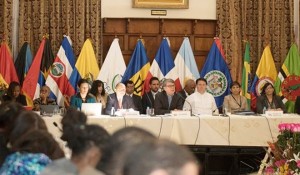 coordinadores_nacionales_celac_general
