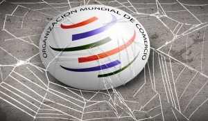 indigonomics_ed259_omc_telarana-1_0-700x350