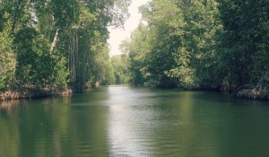 nodal1