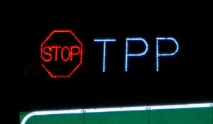 STOP TPP Overpass Light Brigade
