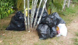 Van-realizan-recoleccion-desechos-FotojorgeLuisBarria_MEDIMA20160104_0181_5