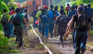 migrantes_06022013