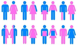 trans.jpg_1572130063
