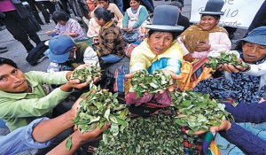 Exhibicion-Productores-Yungas-Paz-movilizacion_LRZIMA20130115_0020_11
