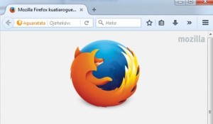aguaratata-la-version-guarani-del-buscador-firefox-ya-esta-disponible