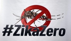zika zero