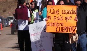 63307_233de58e9e