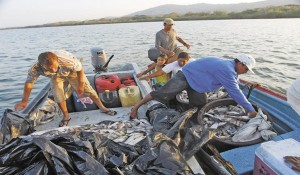 PESCA-NICARAGUA