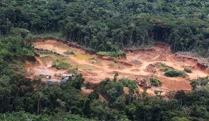 amazonas1