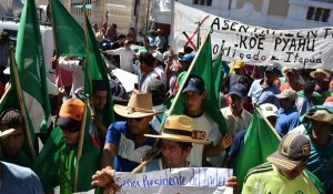 campesinos
