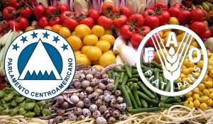 stockvault-fresh-veggies106109