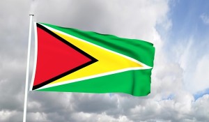 Bandera-Guyana-1000