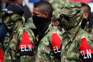 eln