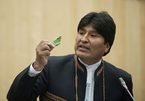 evohojacoca