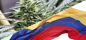 ft-colombia-marihuana