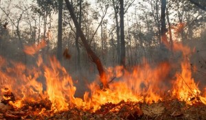 Conoces-todos-los-tipos-de-desastres-naturales-2