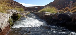 Manantial-del-Silala-en-Bolivia.-Archivo-ABI