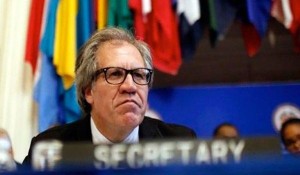 almagro_telesur