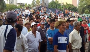 campesinos
