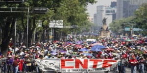 cnte