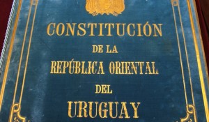constitucion