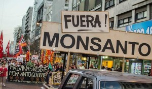 fuera-monsanto