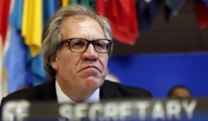 luis_almagro_oas_venezuela.jpg_1718483346