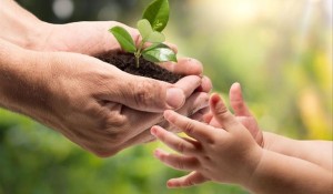 medio-ambiente.jpg.jpg_1718483346