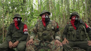 paro-eln
