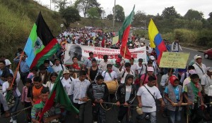 18112642Indigenas980