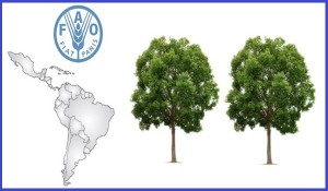 FAO-agricultura-deforestacion
