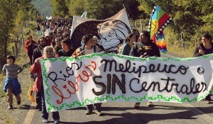foto-marcha-melipeuco1