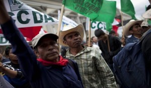 campesinosguatemala01.jpg_1718483346