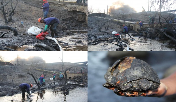 Nicaragua: fuertes daños al medioambiente por derrame de petróleo en