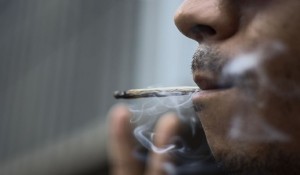 ganja-marijuana
