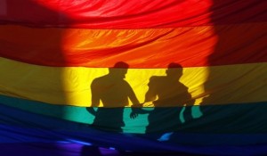 homo.jpg_1718483346