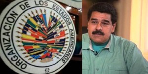 oea maduro