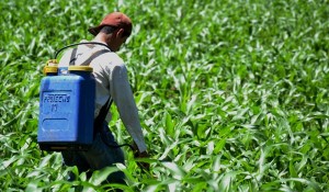 agricultor-agroquimico-cosecha