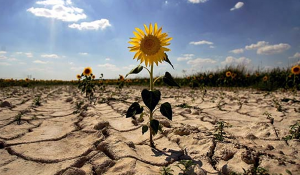 cambio_climatico_latam