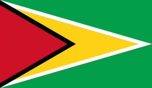 2000px-Flag_of_Guyana