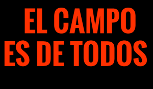 Sin título
