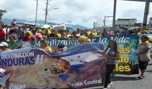 ambientalistas2-768x427
