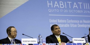 correa en habitat